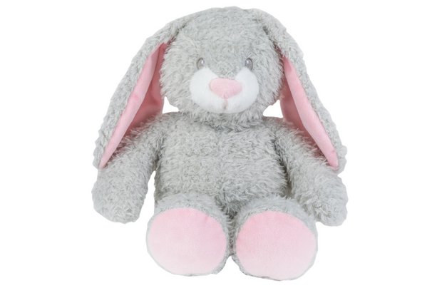 chad valley bright paws